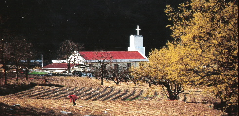 사곡의 봄 - 김 춘 도 0
